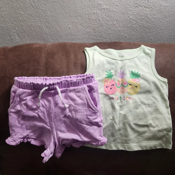 Garanimals Light Green and Purple Pineapple Set - Picture 1 of 4